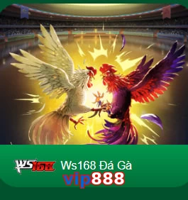 vip888